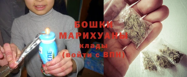 шишки Армянск