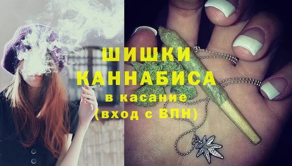 spice Арсеньев