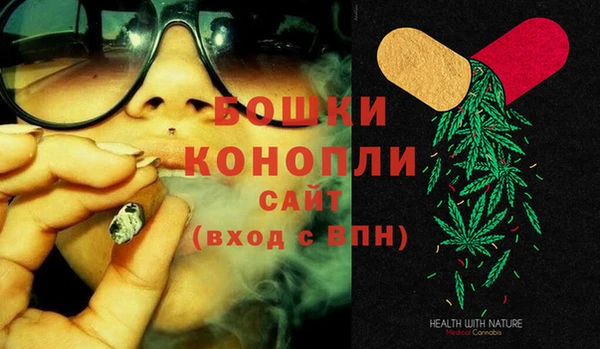 шишки Армянск