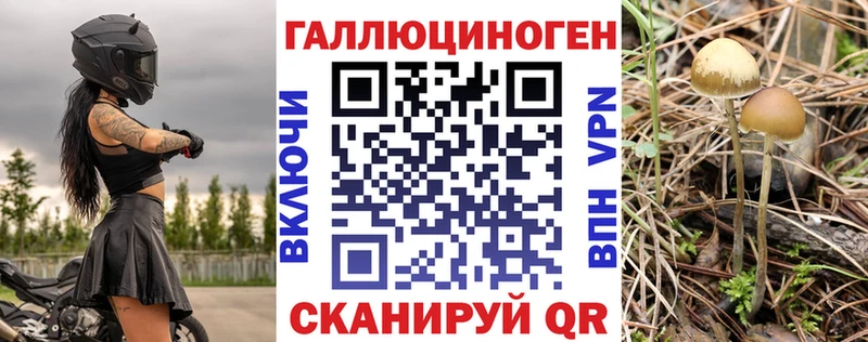 Псилоцибиновые грибы мухоморы  купить наркотик  Удачный 